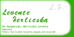 levente herlicska business card